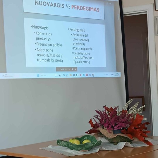 Iliustracija