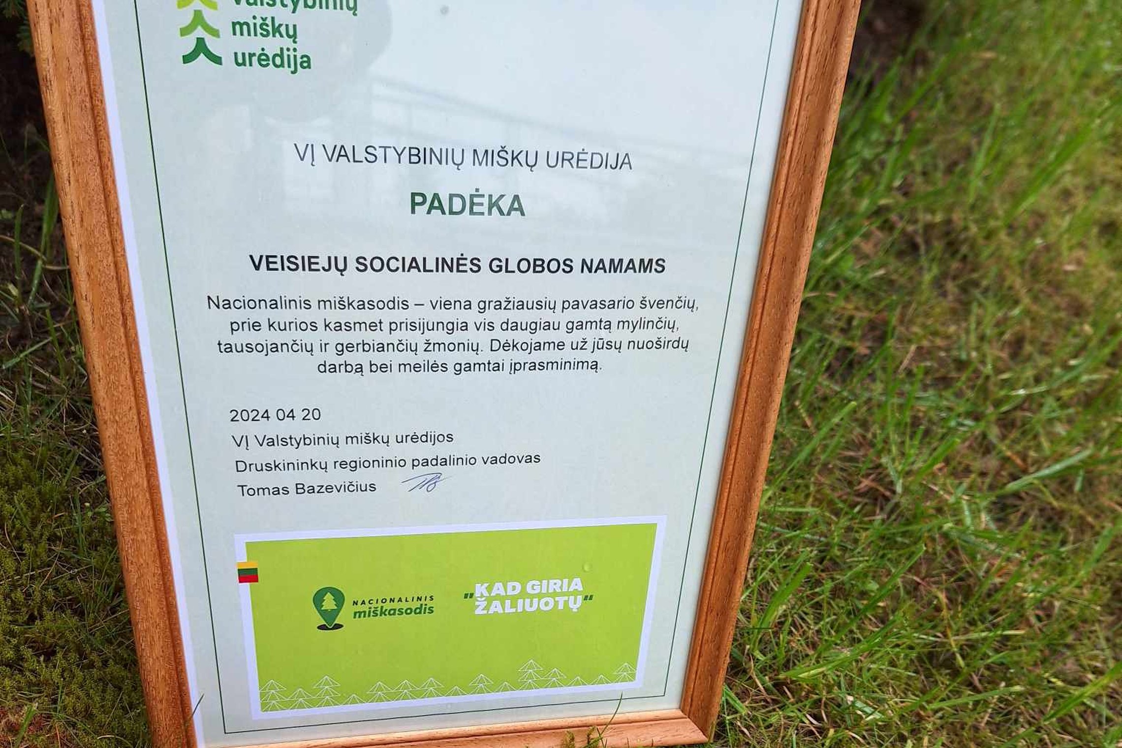 Iliustracija