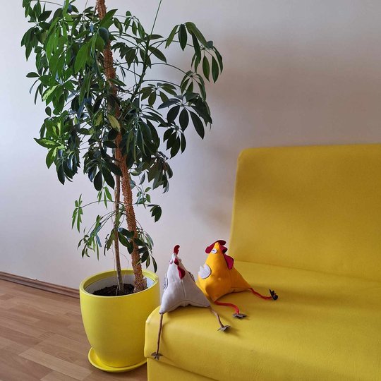 Iliustracija