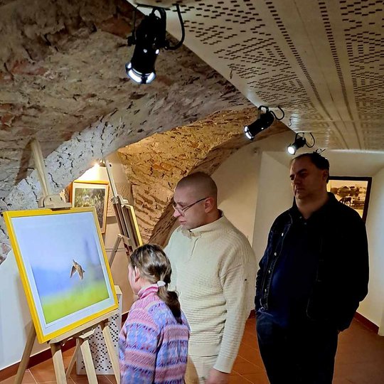 Iliustracija