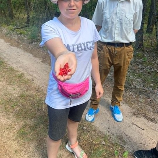 Iliustracija